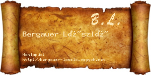Bergauer László névjegykártya